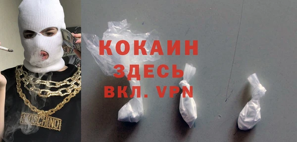 стаф Белокуриха