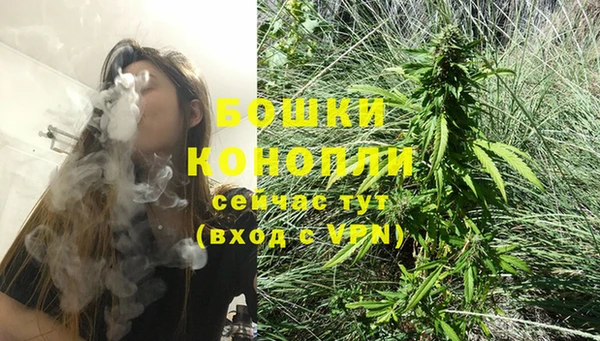 дживик Богданович