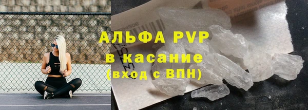 дживик Богданович