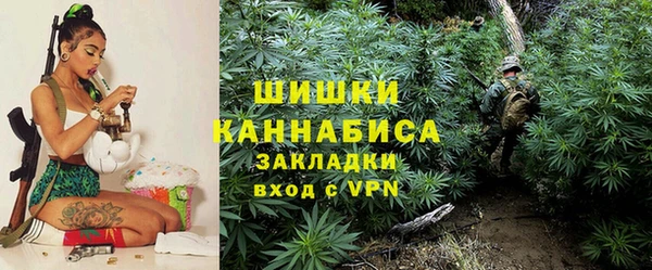 стаф Белокуриха